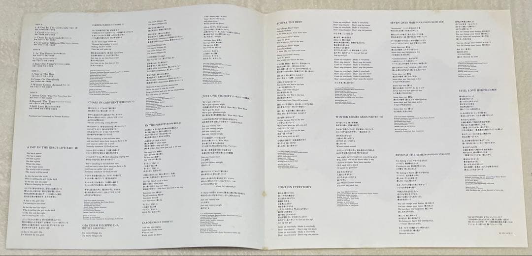 TM NETWORK CAROL レコード LP 2枚組