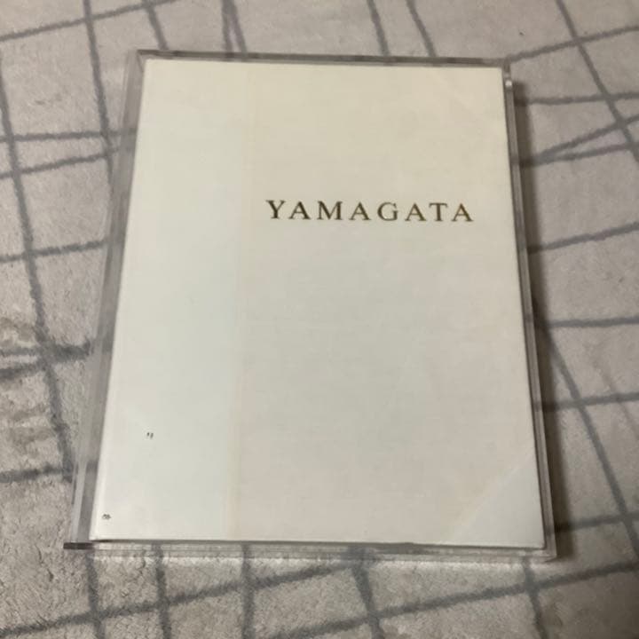 YAMAGATA HIROMICHI ヤマガタヒロミチ　山形博導　画集