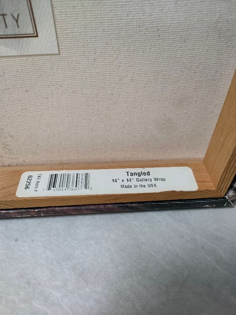 ★ディズニー/ トーマス・キンケード「塔の上のラプンツェル」