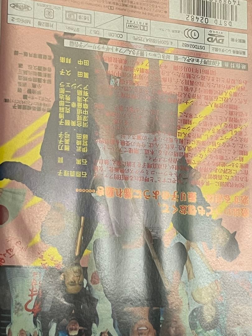 劇場版 めぞん一刻 石原真理子 石黒賢 DVD