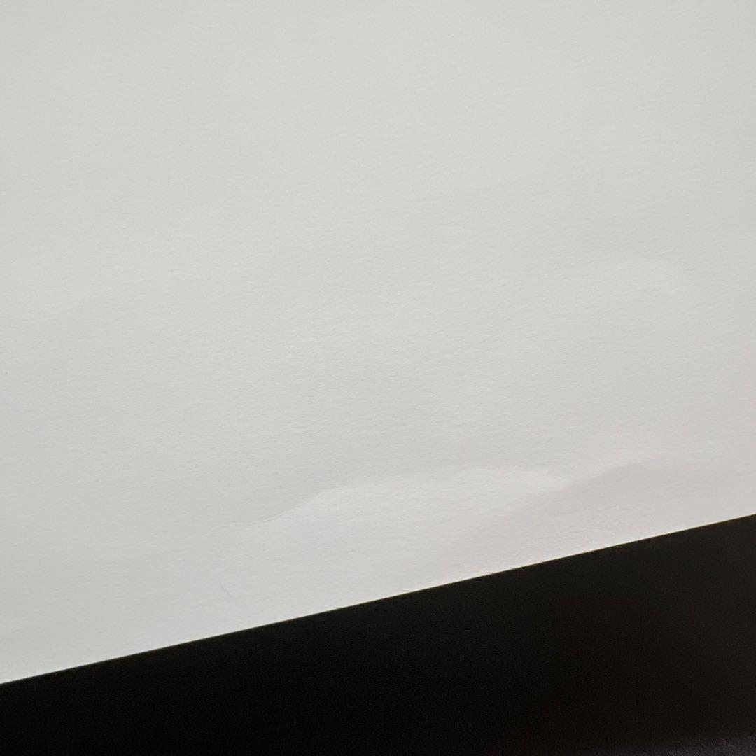 暁のヨナ　複製原画　花とゆめ　当選品　　抽選プレゼント　ALL STAR