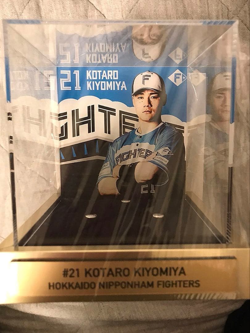 北海道日本ハムファイターズ 清宮幸太郎 直筆サインボール NPB 試合球 公認球