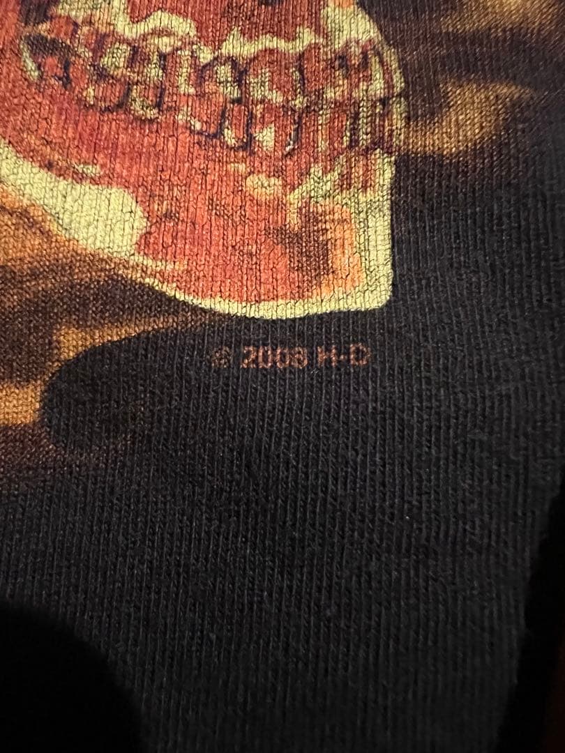 00s Harley-Davidson フレイム スカル ロンt vintage