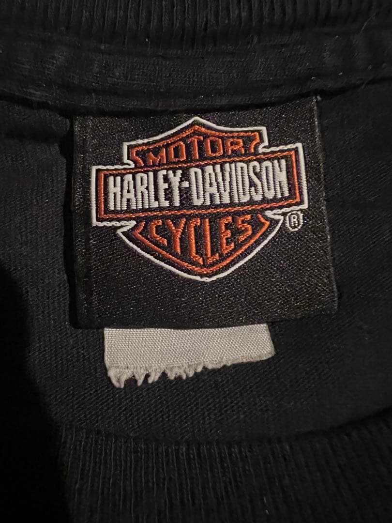 00s Harley-Davidson フレイム スカル ロンt vintage