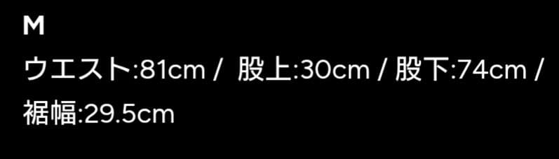 fifth general store Knee プリーツ バギー パンツ