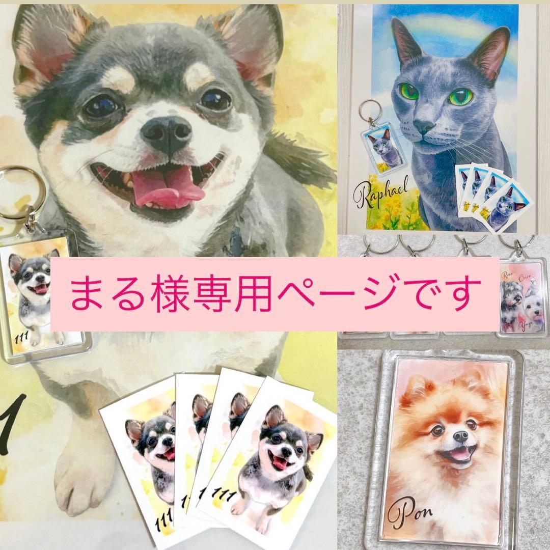 まるのページです！