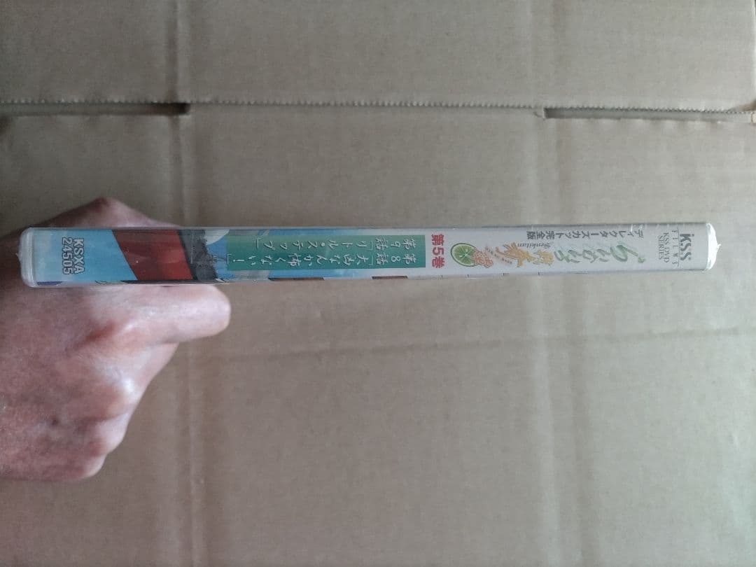 らいむいろ戦奇譚 ディレクターズカット 完全版 DVD 第5巻