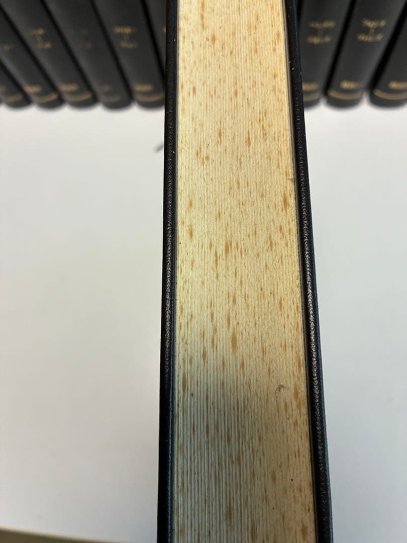 アピー　世界音楽大辞典　別巻2巻セット