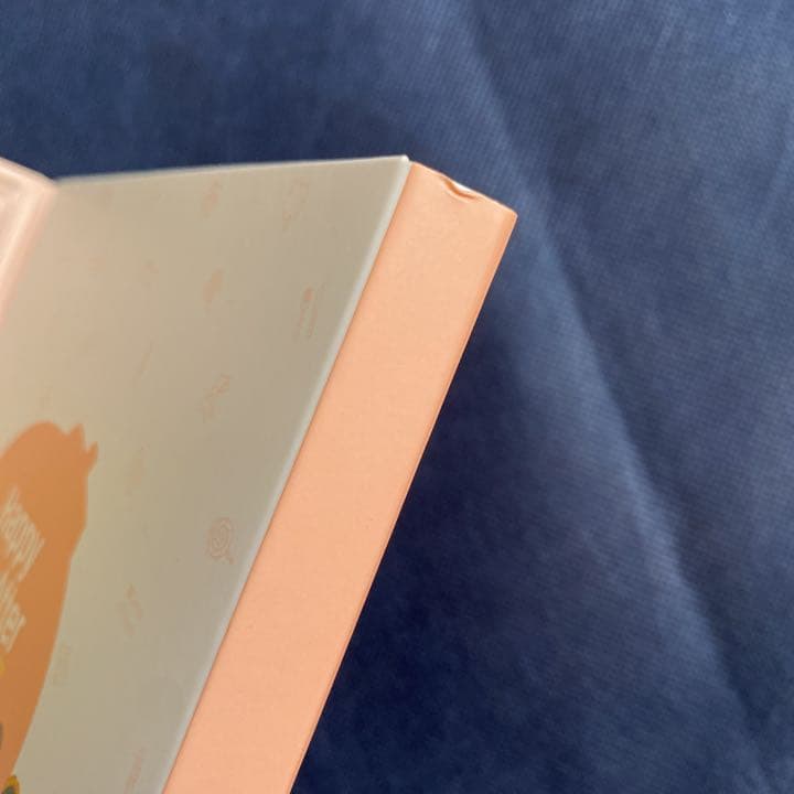 BTS Happy Ever After 4th MASTER ハピエバ DVD