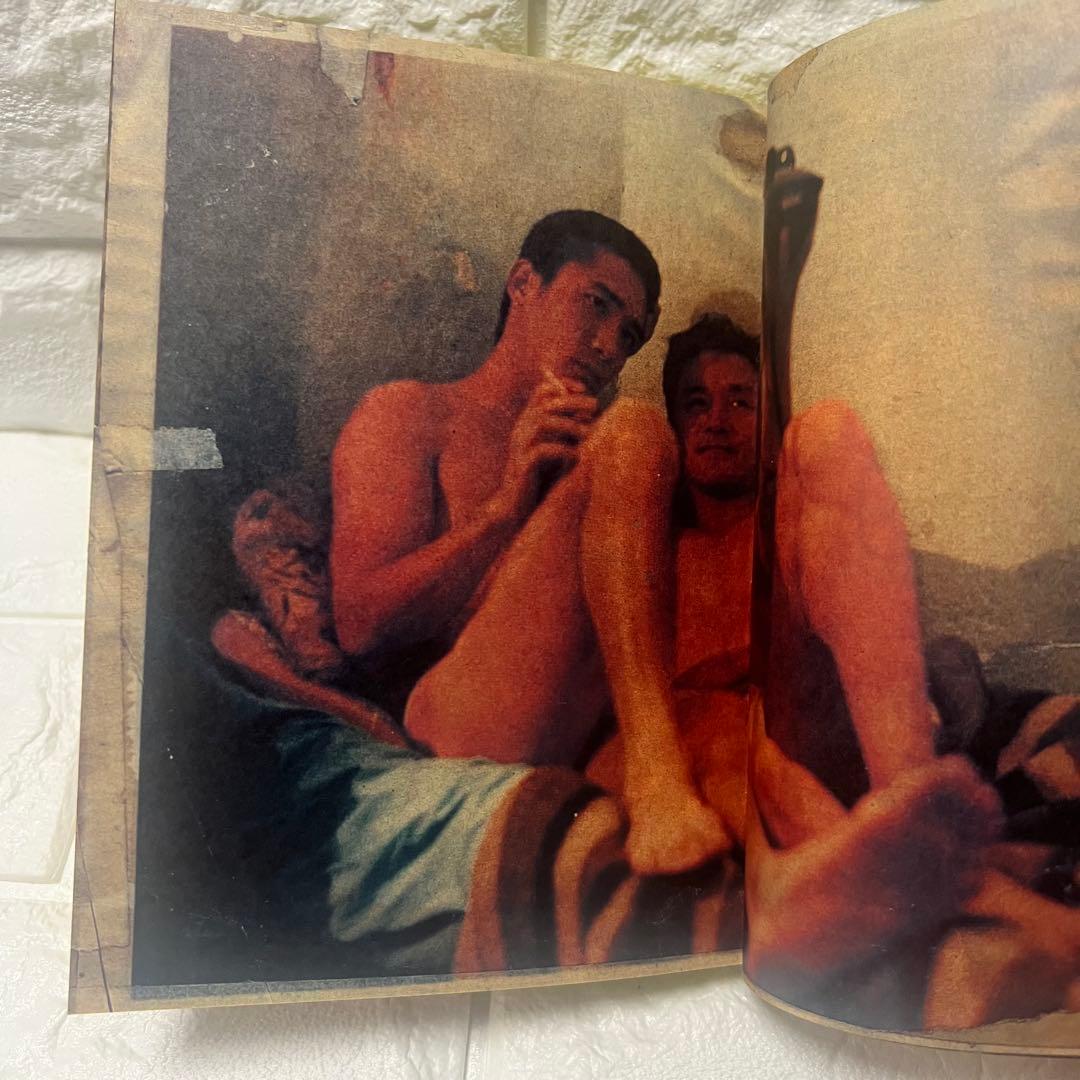 映画　春光乍洩　happy together ブエノスアイレス 限定写真集