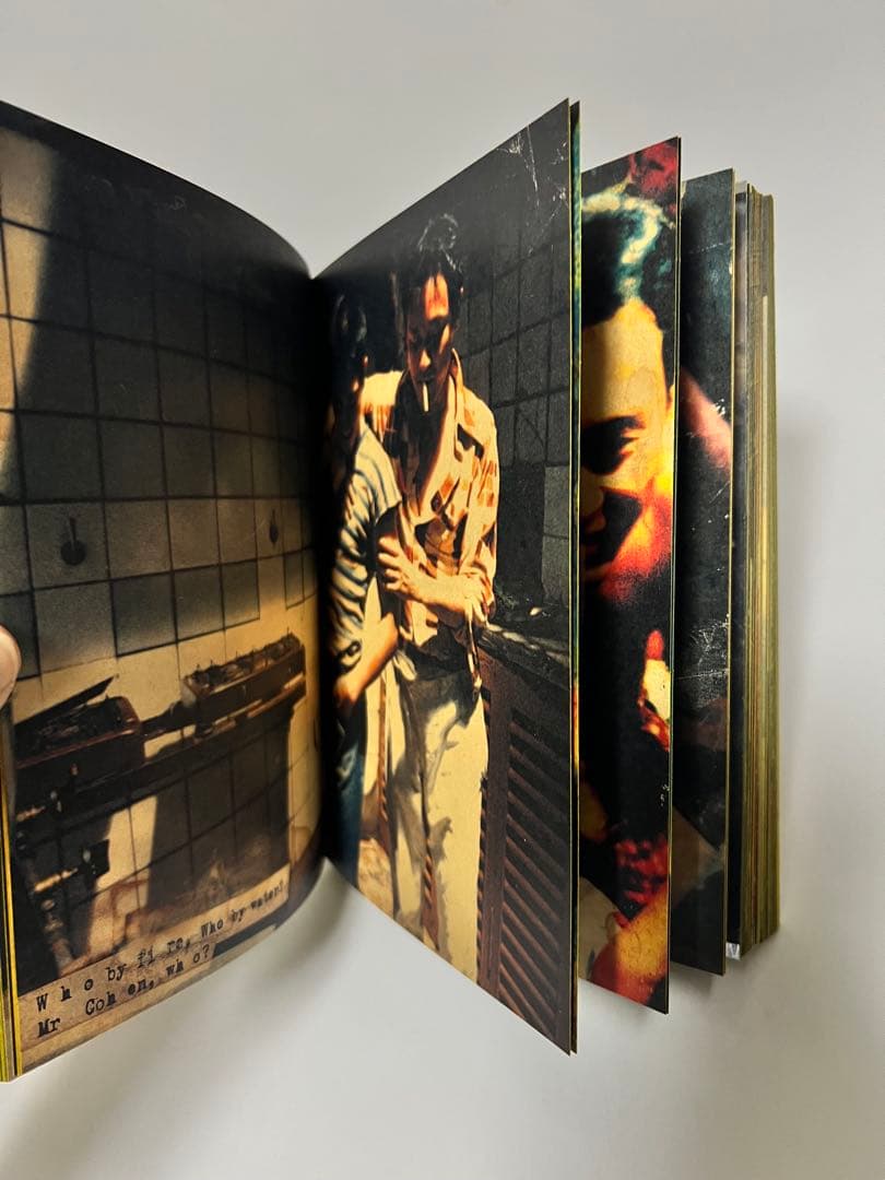 映画　春光乍洩　happy together ブエノスアイレス 限定写真集