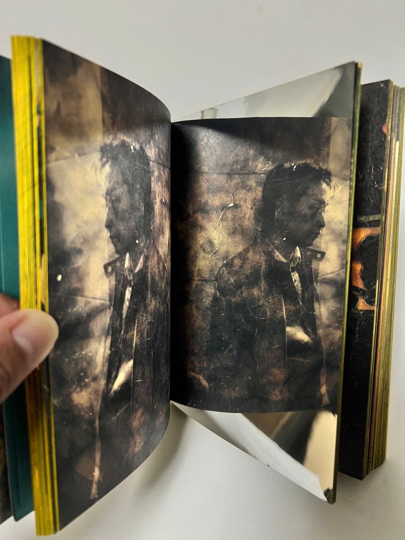 映画　春光乍洩　happy together ブエノスアイレス 限定写真集