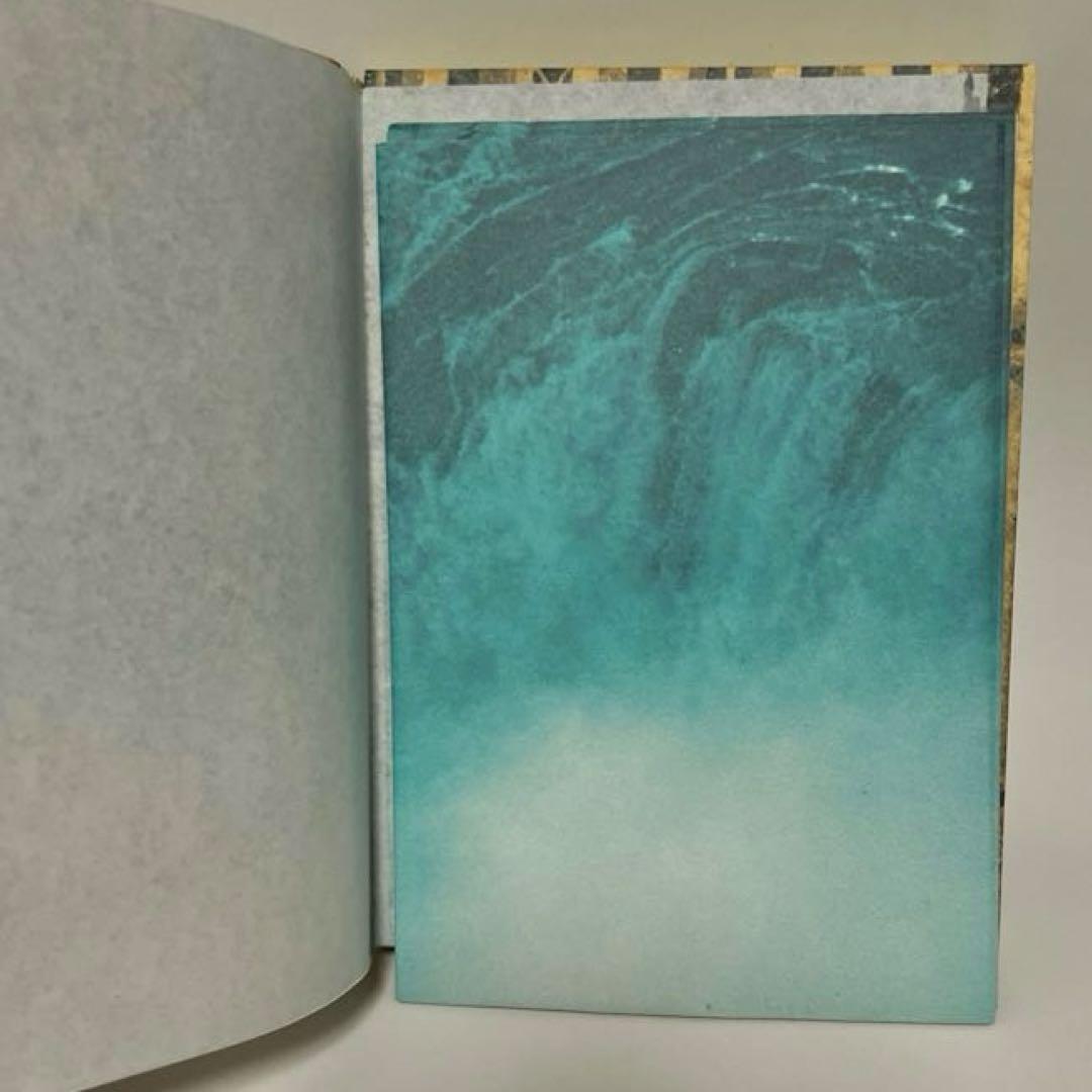 映画　春光乍洩　happy together ブエノスアイレス 限定写真集