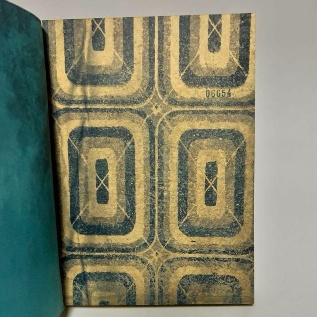 映画　春光乍洩　happy together ブエノスアイレス 限定写真集