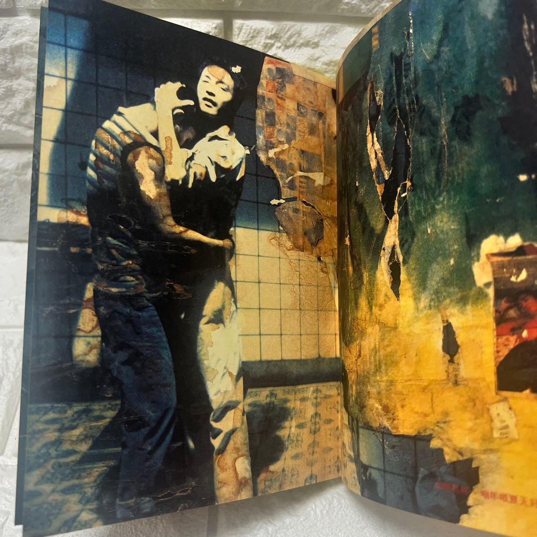 映画　春光乍洩　happy together ブエノスアイレス 限定写真集