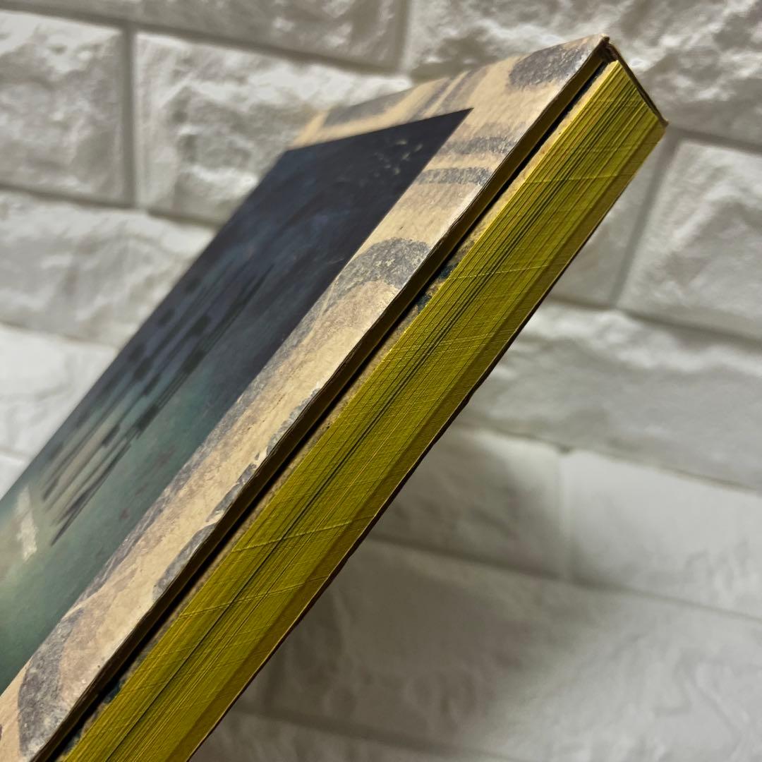 映画　春光乍洩　happy together ブエノスアイレス 限定写真集