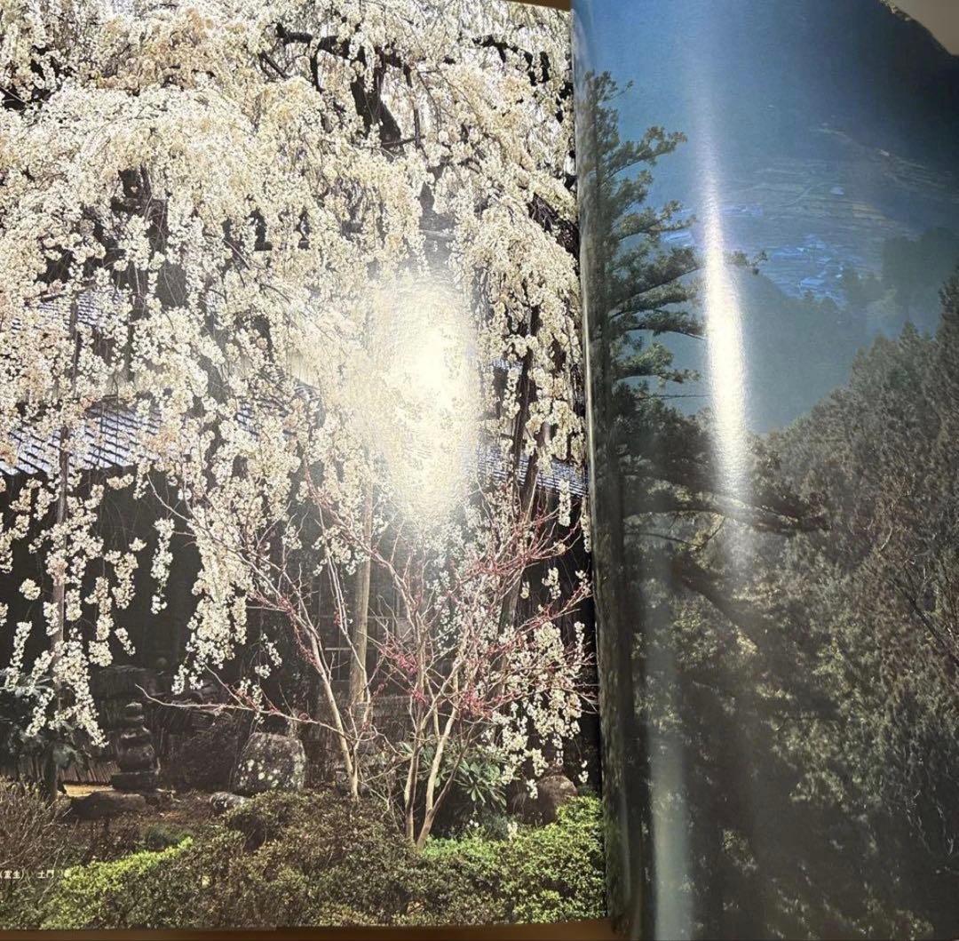 写真集 大和路の四季 - 奈良の四季