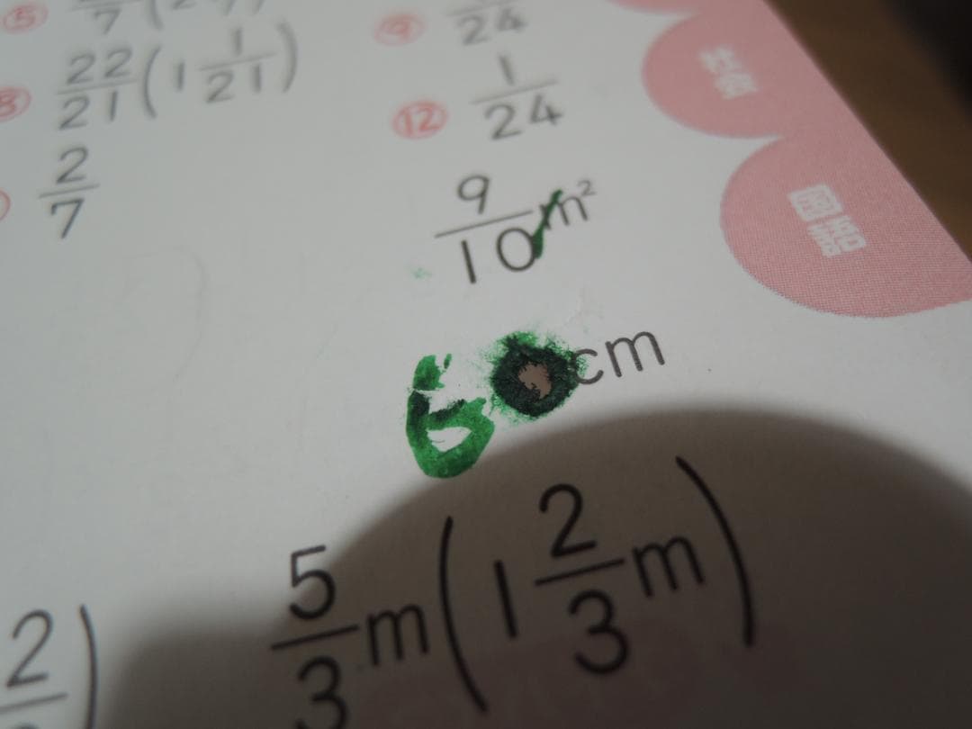 マチ様　おまけ　学研小６総復習ドリル