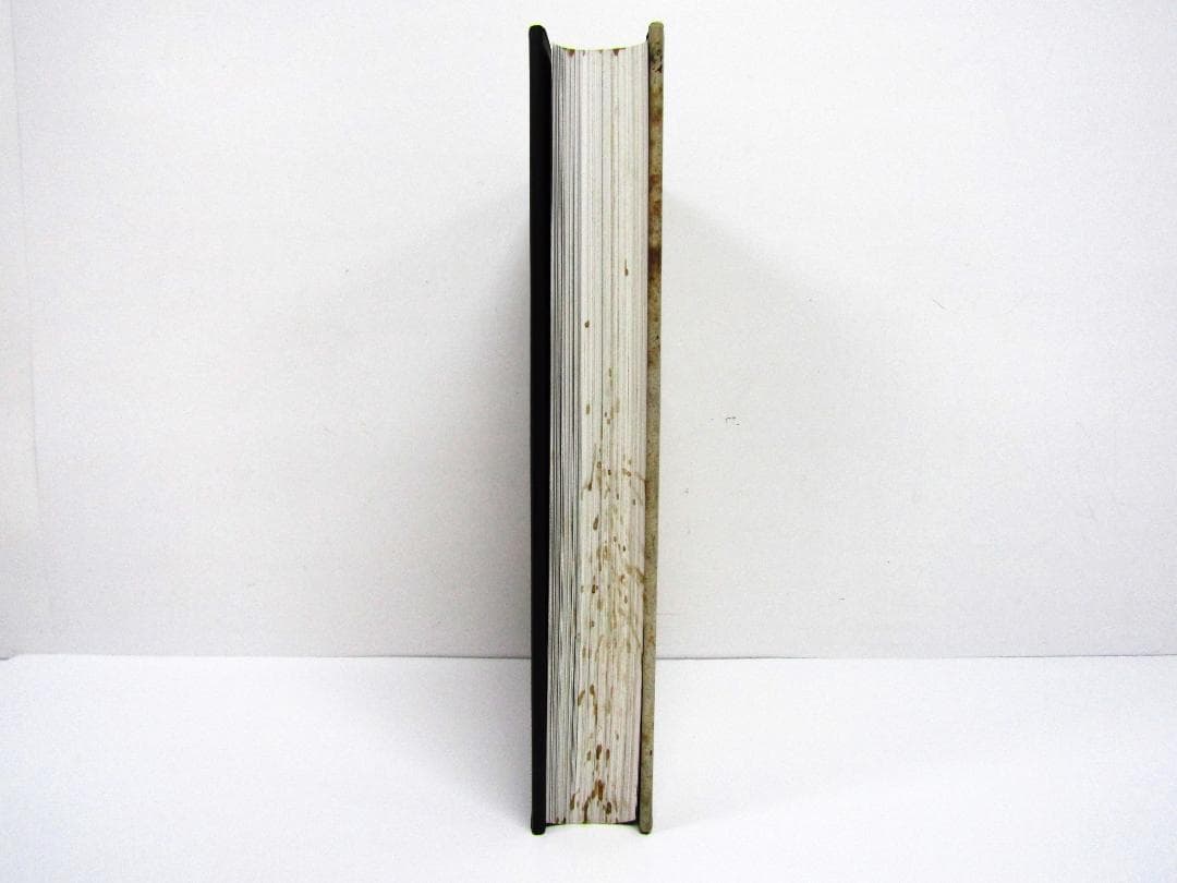 レオナルド・ダ・ヴィンチ 1452-1519年全絵画作品・素描集 Y2397