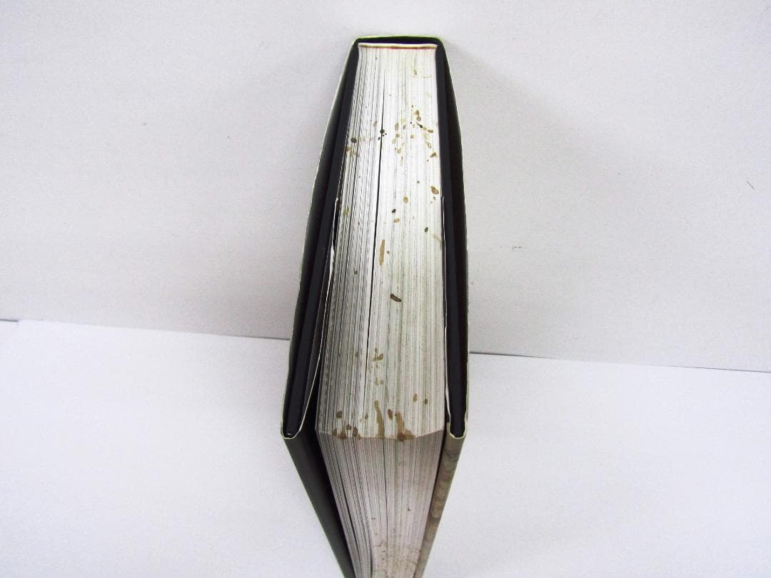 レオナルド・ダ・ヴィンチ 1452-1519年全絵画作品・素描集 Y2397