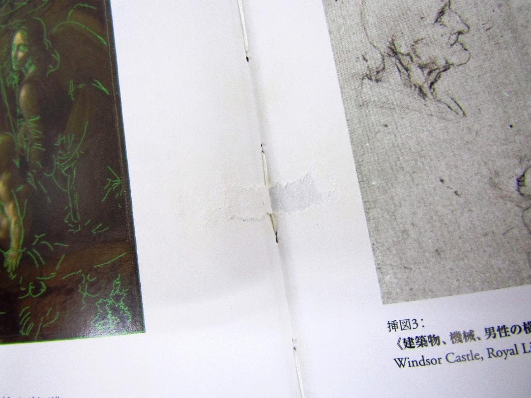 レオナルド・ダ・ヴィンチ 1452-1519年全絵画作品・素描集 Y2397