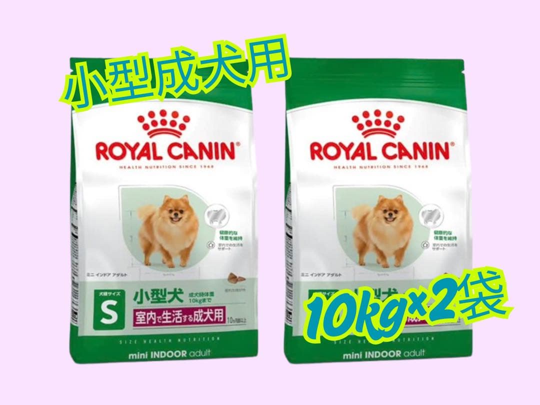 ★ロイヤルカナン　ミニ　インドア　アダルト10kg×2袋★小型犬の成犬用！