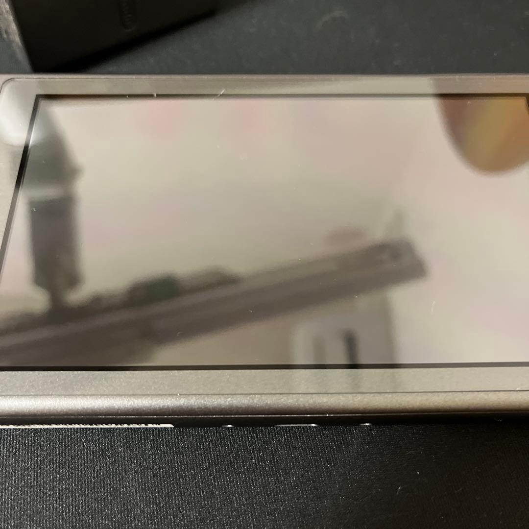 Nintendo Switch Lite ディアルガ パルキア モデル