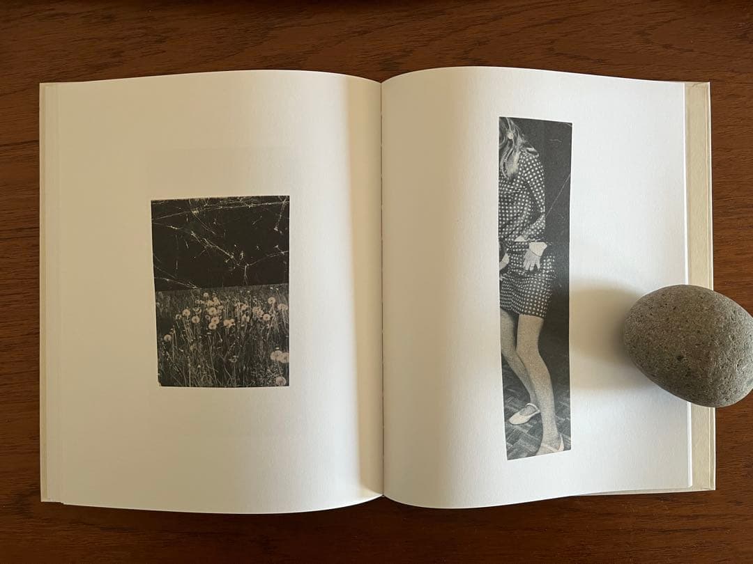 アート・デザイン・音楽 WHY I HATE CARS by Katrien De Blauwer