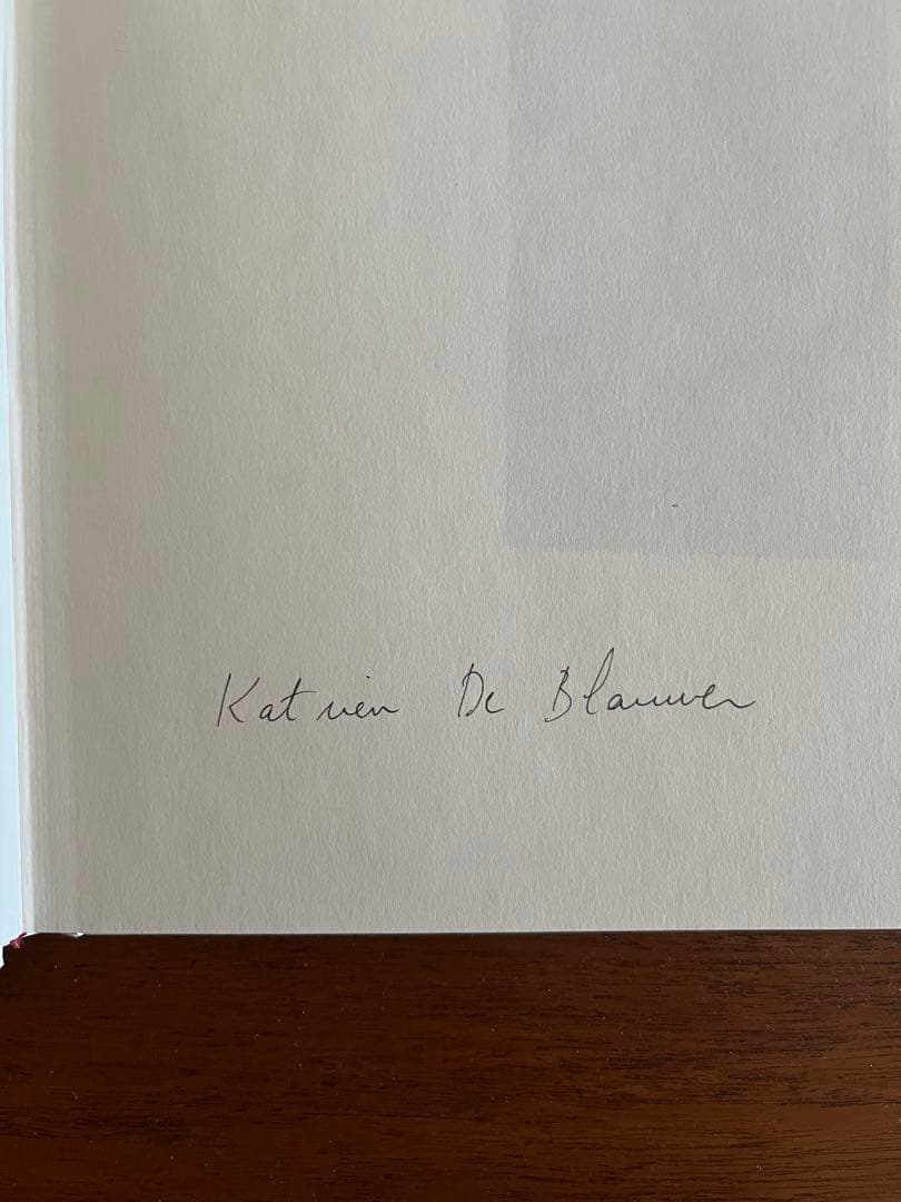 アート・デザイン・音楽 WHY I HATE CARS by Katrien De Blauwer