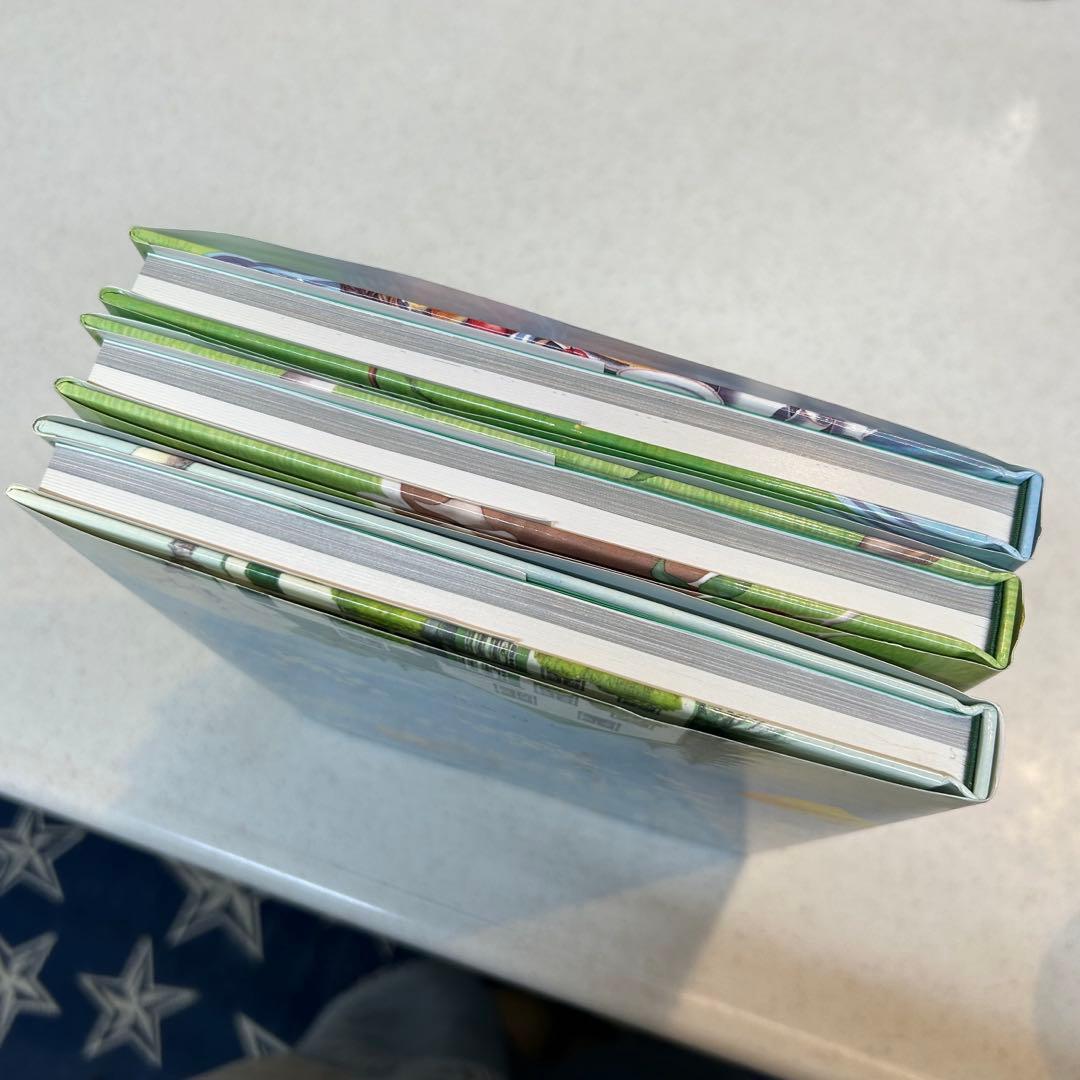 赤毛のアンの手作り絵本　3冊セット