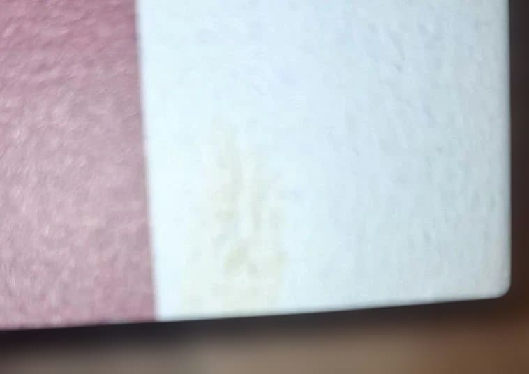 ワーグナー「ニーベルングの指環」白水社　ワーグナー・オペラ対訳シリーズ　４冊