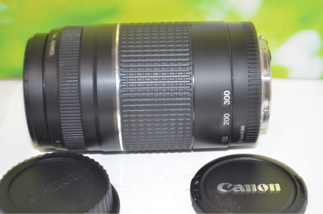 ★極美品★300mm超望遠レンズ★CANON EF 75-300mm