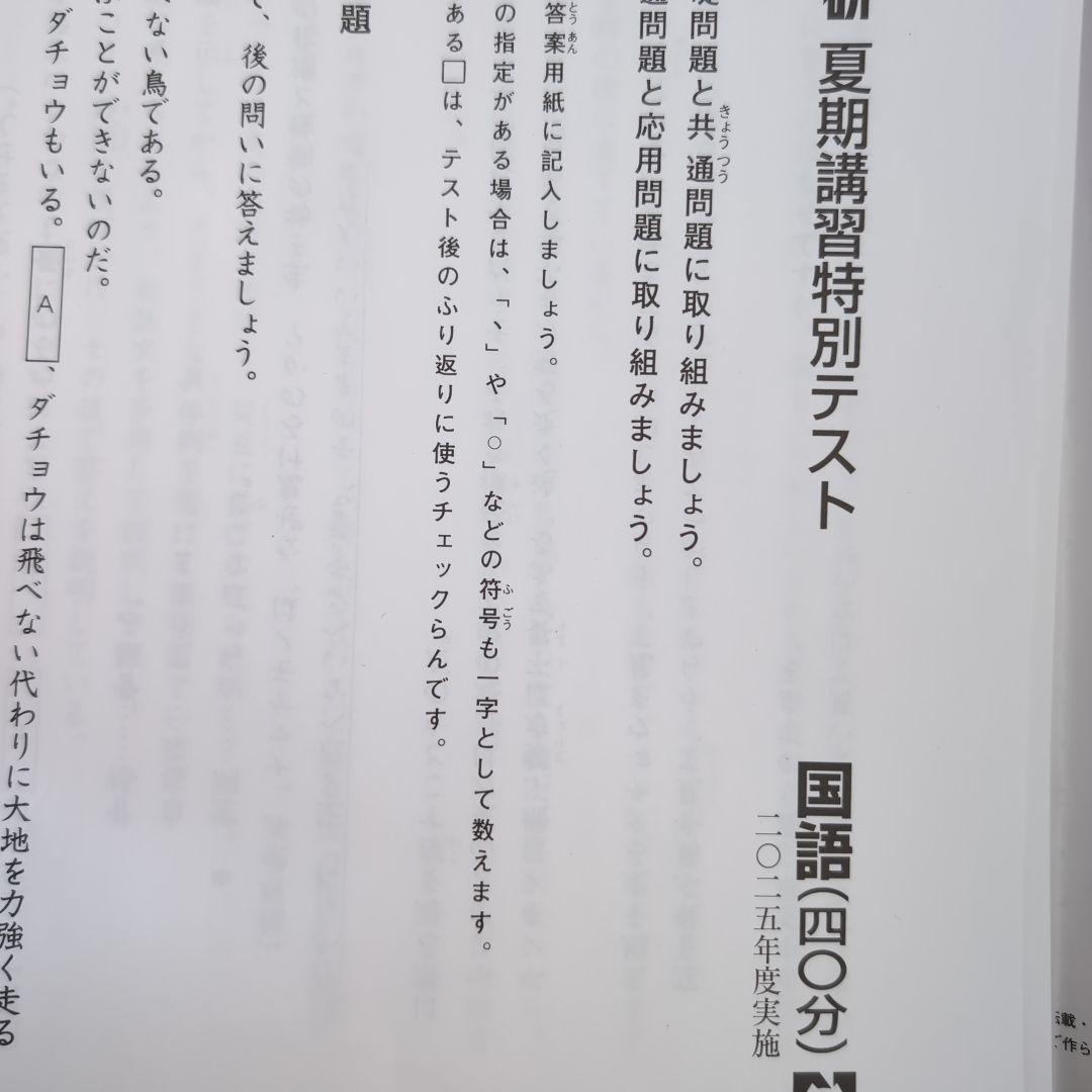 2025年度　日能研　全国公開模試学習力育成テスト4年他1年分