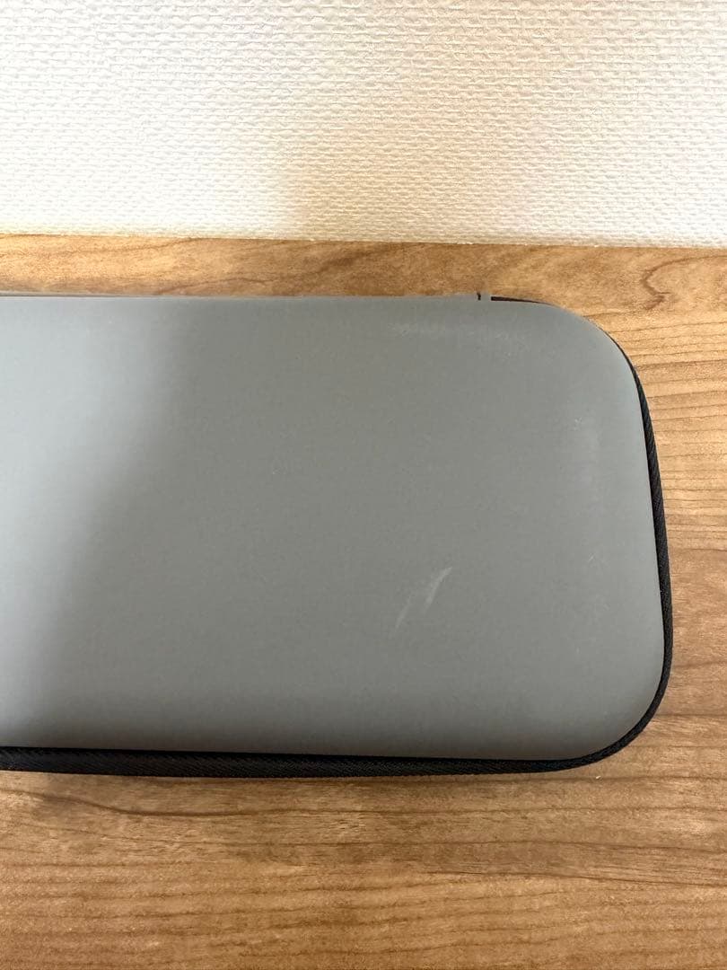 Nintendo Switch Lite グレー 本体とケース