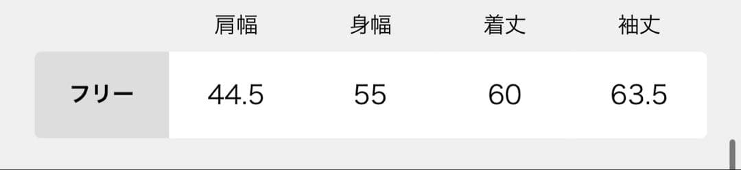 SLOBE IENA チャンピオンSLOBE別注 ダブルジップ パーカー2025