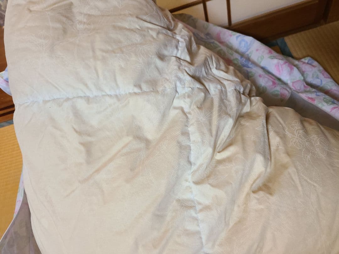 羽毛掛け布団ダブル　ダウン95％羽毛掛け布団ダブル