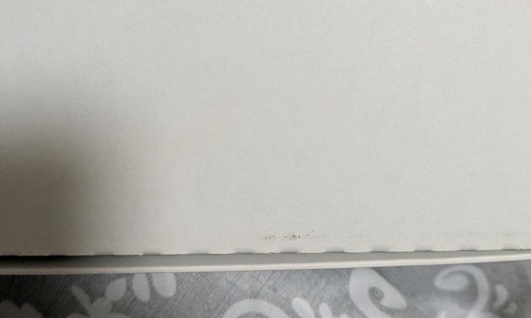 【美品】 ゼノブレイド2 Collector's Edition ソフト無し