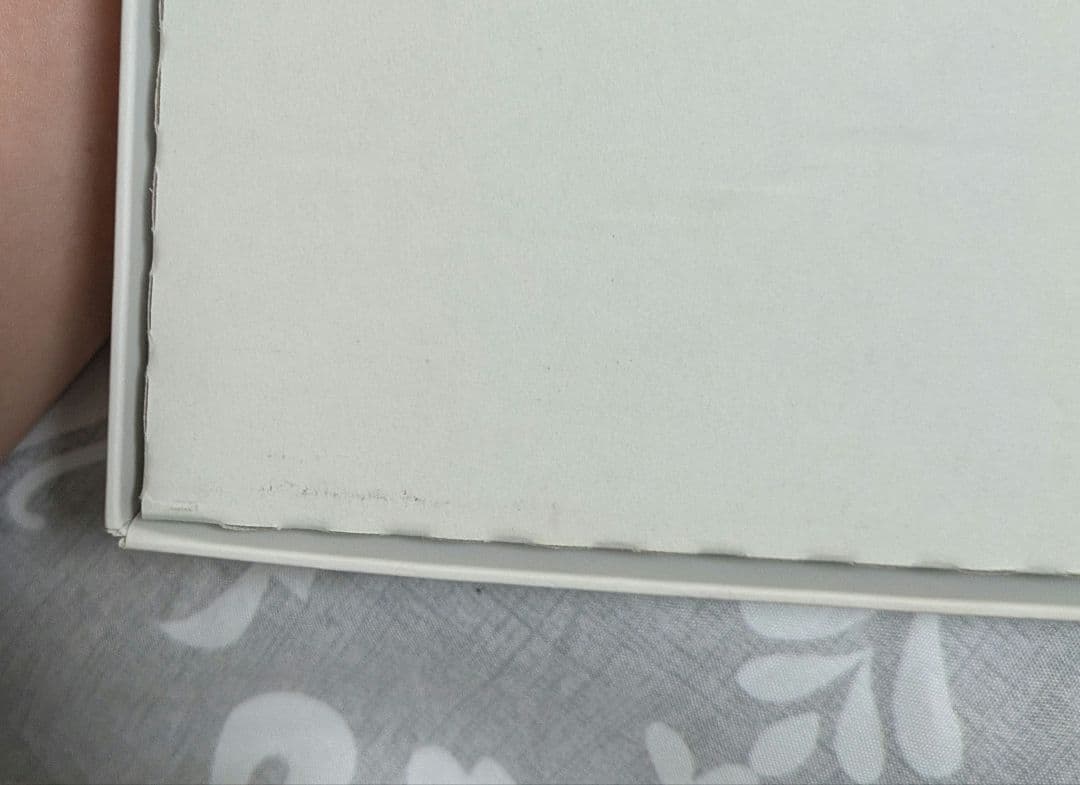 【美品】 ゼノブレイド2 Collector's Edition ソフト無し