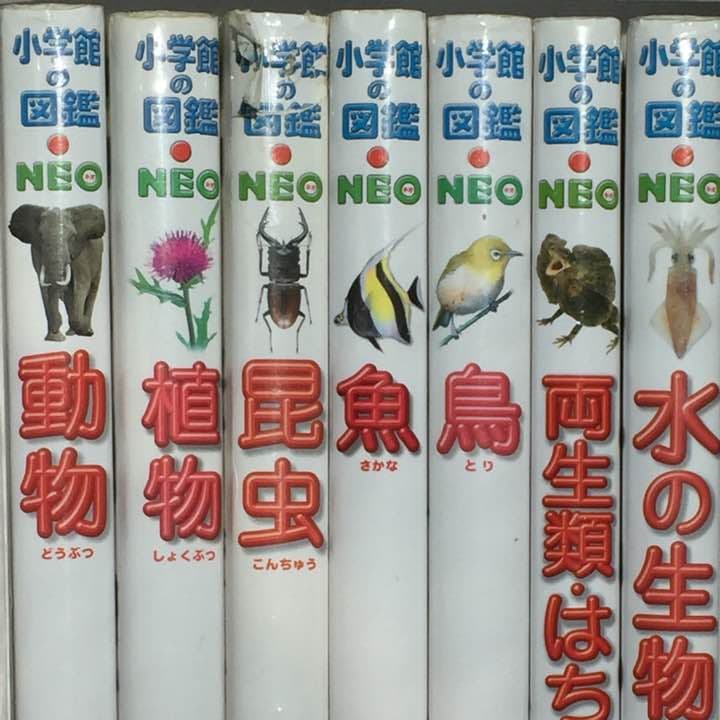 図鑑セット   小学館NEO  ７冊