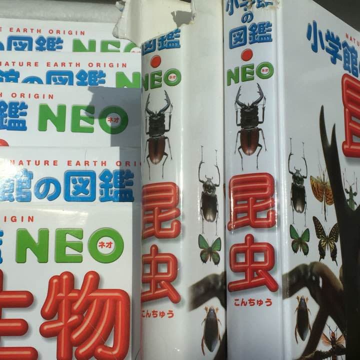図鑑セット   小学館NEO  ７冊