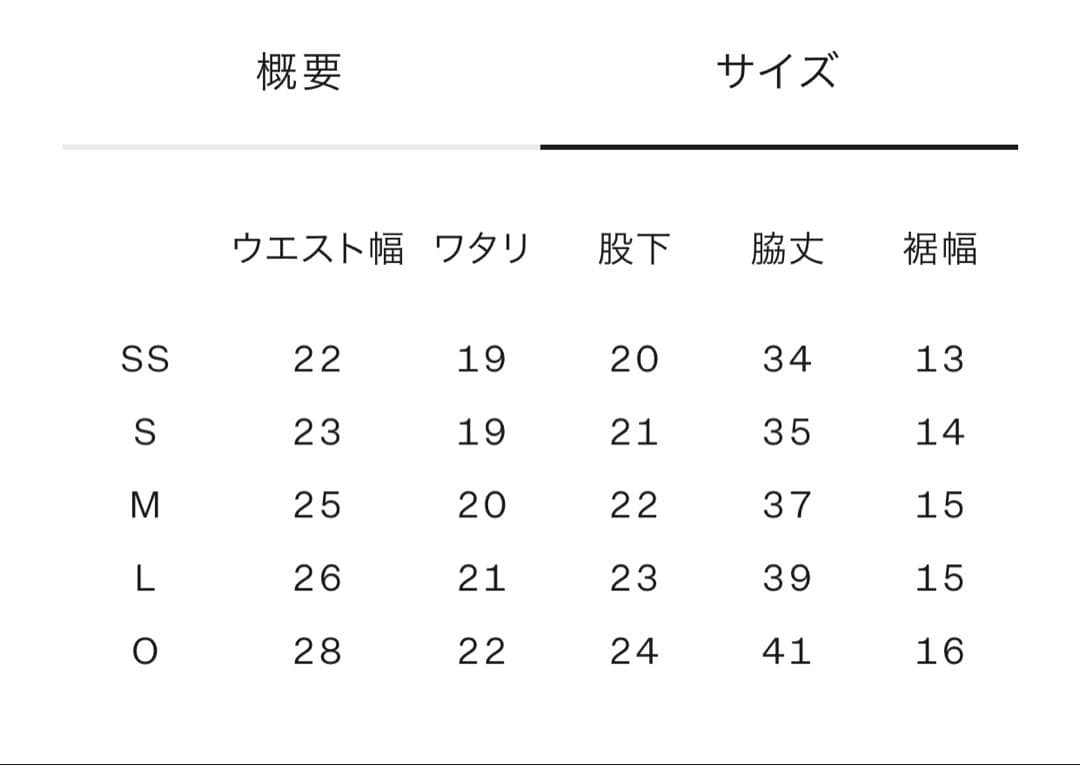 スピード　speedo FS LZR GLINT Lサイズ　①