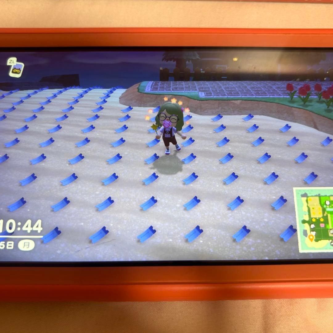 【大幅値下げ中】Switch Lite コーラルピンク あつまれどうぶつの森付き