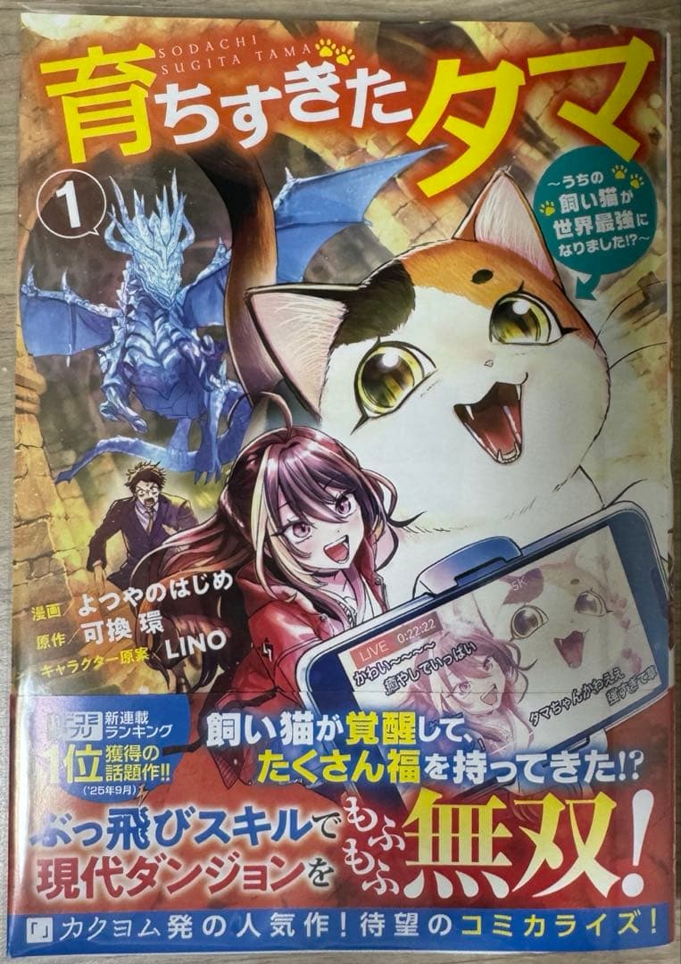 みぃー★ 虐げられ王女に転生しましたが、竜神の加護を持つ最強騎士様に 他