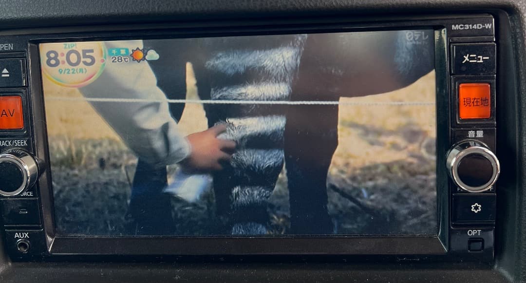 カーナビ MC314D-W B8260-C994C Car Navigation