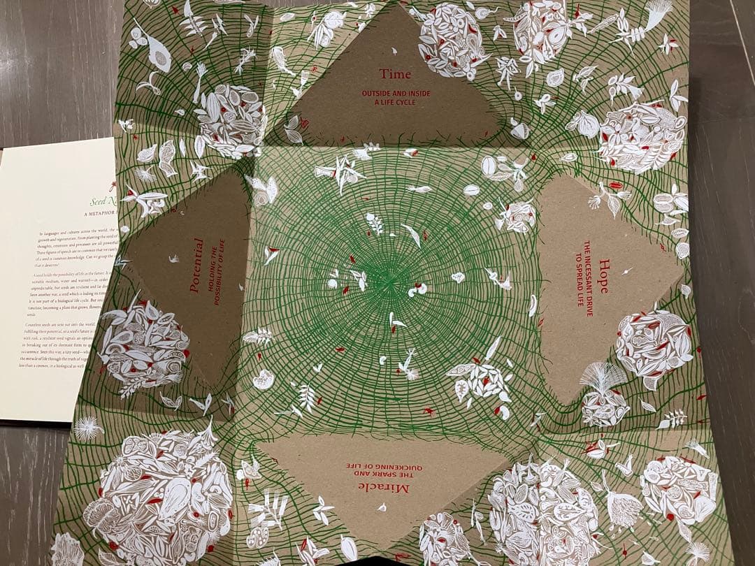 「SEED 」Gita Wolf他著Tarabooks インド限定品　日本未販売