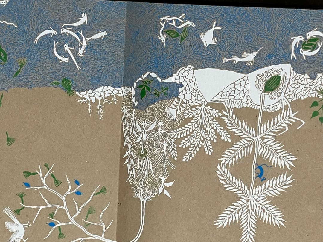 「SEED 」Gita Wolf他著Tarabooks インド限定品　日本未販売