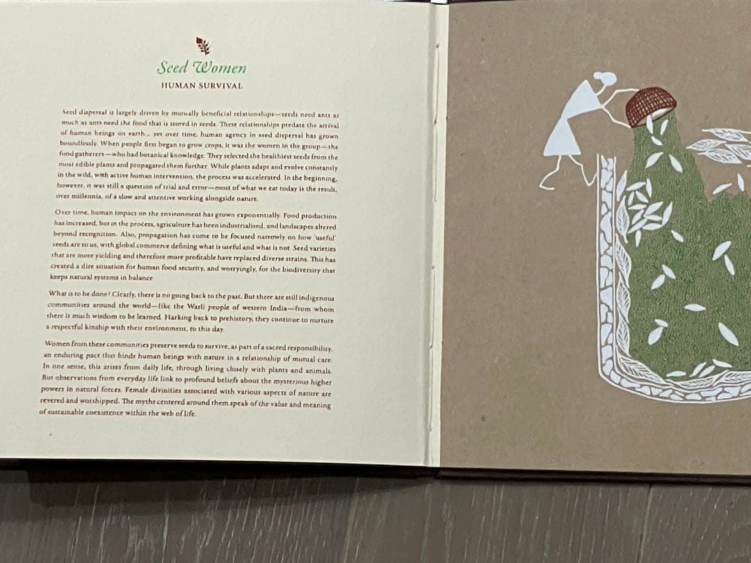 「SEED 」Gita Wolf他著Tarabooks インド限定品　日本未販売