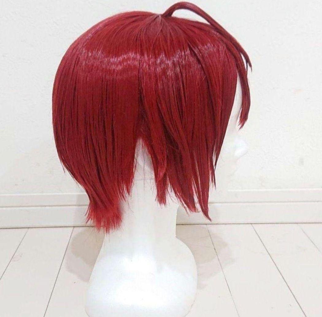 ツイステ　リドル　コスプレ衣装　ウィッグ