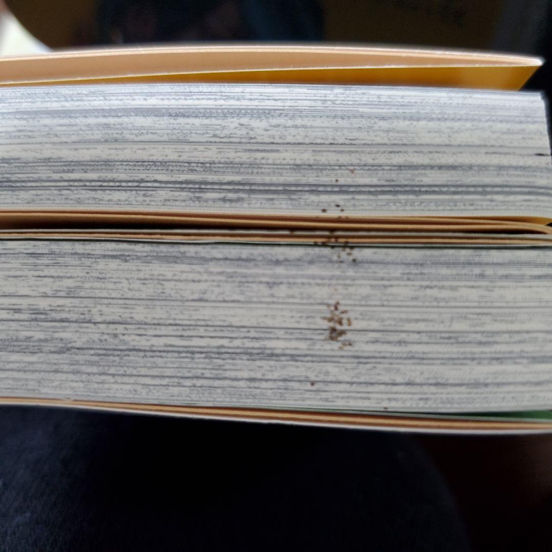 STEEL BALL RUN ジョジョの奇妙な冒険 Part7