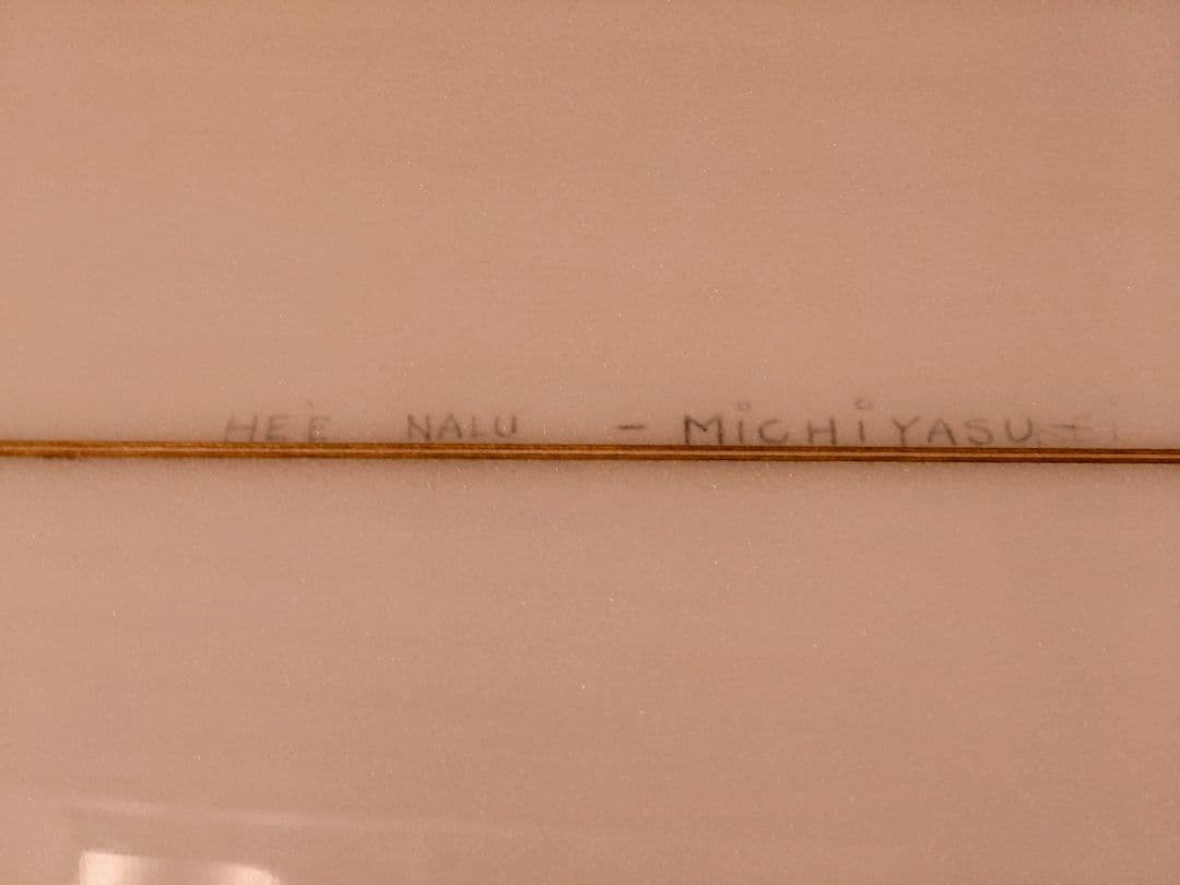 スキップ・フライ フィッシュ 5'7 Skip Frye FISH 5'7